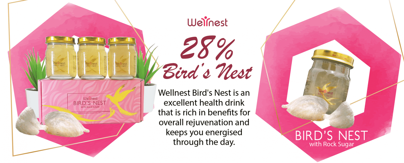 Wellnest hero banner desktop